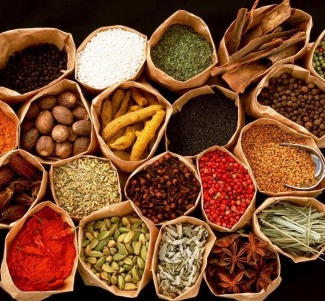 Yazın Hastalıklardan Korunmak